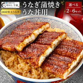 【ふるさと納税】【内容量選べる】国産特大うなぎ蒲焼き（うな丼用2～6セット） | 土用の丑 | 名古屋市 老舗 料亭 特製タレ うなぎ料理 鰻 お弁当 グルメ 贈り物 お取り寄せ 通販 ふるさと納税