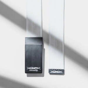 �y�ӂ邳�Ɣ[�Łz�R�A�G�i�W�[GOLF�@�z���C�g