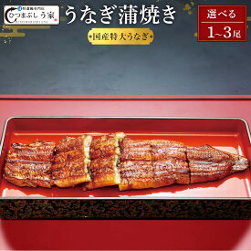 【ふるさと納税】【選べる！内容量】国産特大うなぎ蒲焼き（1～3尾） | 愛知県 名古屋市 愛知 名古屋 楽天ふるさと 納税 支援品 返礼品 支援 返礼 お取り寄せグルメ 取り寄せ グルメ お取り寄せ うなぎ 国産 鰻 国産うなぎ 蒲焼き 魚介 魚介類 うなぎ蒲焼き 鰻蒲焼き 食品