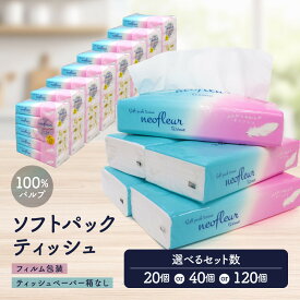 【ふるさと納税】ティッシュペーパー 20個/40個/120個 | 箱なし フィルム包装 ソフトパック ティッシュ 洗面所 キッチンまわりで使いやすい 持ち運び アウトドア 車内 コンパクト パッケージ 100％パルプ 人気 おすすめ エコ 防災 備蓄 送料無料 愛知県 名古屋市