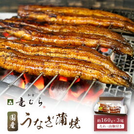 【ふるさと納税】【炭火・職人手焼き】　国産うなぎ蒲焼　約160g×3尾・たれ・山椒　和食竜むら | 土用の丑 | 返礼品 支援 返礼 取り寄せ グルメ うなぎ 鰻 ウナギ 国産うなぎ 蒲焼き