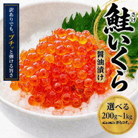 【ふるさと納税】＜選べる！容量＞訳あり いくら醤油漬け 鮭卵 化粧箱入 尾張まるはち