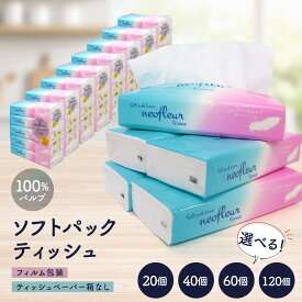 【ふるさと納税】ティッシュペーパー 20個/40個/60個/120個 | 箱なし フィルム包装 ソフトパック ティッシュ 洗面所 キッチンまわりで使いやすい 持ち運び アウトドア 車内 コンパクト パッケージ 100％パルプ 人気 おすすめ エコ 防災 備蓄 送料無料 愛知県 名古屋市