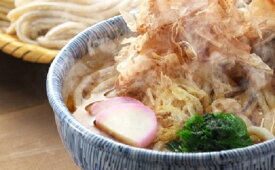 【ふるさと納税】豊橋にかけうどんセット