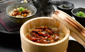 【ふるさと納税】愛知三河産 うなぎ茶漬け / 三河うなぎ 惣菜 お茶漬け 愛知県 豊橋市