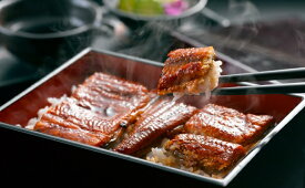 【ふるさと納税】愛知三河産 うなぎカット蒲焼 国産うなぎ 鰻 訳あり (サイズお任せ カット済) 三河うなぎ 蒲焼 タレ付き 惣菜 愛知県 豊橋市