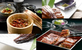 【ふるさと納税】愛知三河産 うなぎ蒲焼 ＆ うなぎ茶漬けセット 国産うなぎ 鰻 三河うなぎ 蒲焼 タレ付き 惣菜 愛知県 豊橋市