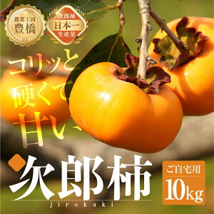 【ふるさと納税】≪先行予約≫ 生産量日本一!豊橋の秋の味覚 豊橋石巻産次郎柿(ご自宅用)10kg(30〜50玉)ご自宅用 10kg 柿 訳あり 不揃い 甘柿 果物 フルーツ 10月 11月 愛知県 豊橋市 ビ