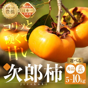 yӂ邳Ɣ[Łz፡͂I␶Yʓ{IL̏H̖o LΊYY` 5kg ~10kg yIׂ Gi / 󂠂z`  JL ʕ t[c { {̉ʕ 󂠂 킯 Gi  Mt