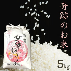 yӂ邳Ɣ[ŁzL܂̊Ղ̂āu_̂قق݁v 5kg Y    ߘa7NY V 5L uh  Â XX lC      uh 