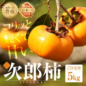 【ふるさと納税】先行予約 生産量日本一 豊橋石巻産 次郎柿 ご自宅用 5kg 柿 訳あり 不揃い (15～25玉) 甘柿 果物 フルーツ 10月 11月 愛知県 豊橋市