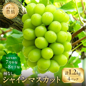 yӂ邳Ɣ[Łzs\ 2026N₽Ղ1.2kg LY 炲 Ȃ VC}XJbg300g×4 uhE Ԃǂ }XJbg t[c Â 1.2L ʕ Ls m Mtg v[