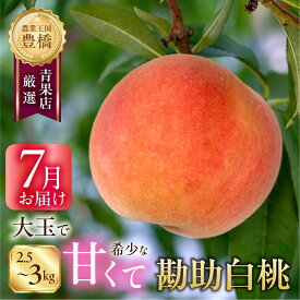 【ふるさと納税】≪先行予約 2026年発送≫ 超稀少！『石巻の勘助白桃』 2.5~3kg（6〜10 玉） 豊橋産 白桃 桃 フルーツ 数量限定 モモ フルーツ 果実 スイーツ 贈答 ギフト 15000円 稀少 貴重 愛知県 豊橋市