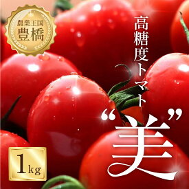 【ふるさと納税】≪先行予約≫糖度8度！"美"ミニトマト 1kg トマト ミニトマト 高糖度 野菜 フルーツ 果物 ブランドトマト 1キロ 甘い 愛知県 豊橋市