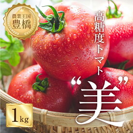 【ふるさと納税】≪先行予約≫糖度8度！"美"トマト 1kg 大玉トマト トマト とまと 高糖度 野菜 フルーツ 果物 ブランドトマト 1キロ 甘い 愛知県 豊橋市 10000円 1万円