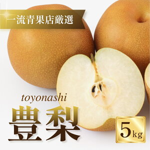 yӂ邳Ɣ[Łz፡͂I ꗬʓXIIL Iׂ 3kg or 5kg  L L K K H H V V Ȃ ʕ t[c ʎ { {̉ʕ ܂ y I 