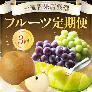 yӂ邳Ɣ[ŁzꗬʓXIIt[c 3iEԂǂEj  3 3񂨓͂ t[c ʕ { t[c I VC}XJbg m Ls
