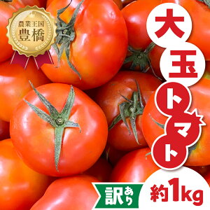 yӂ邳Ɣ[Łzs\ 󂠂g}g 1kg Ƃ܂ g}g tomato  Â ThCb` T_ 󂠂 A 킯 PA KiO { {̖ N m Ls