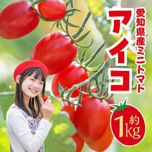 �y�ӂ邳�Ɣ[�Łz���s�\���~�j�g�}�g �A�C�R ��1kg �g�}�g �t���[�c�g�}�g �~�j�g�}�g �v�`�g�}�g ��� �t���[�c �ʕ� �{ �{�̉ʕ� �Â� �����x �T���_ �Ƃ܂� tomato ������ �l�C ����