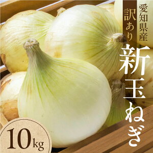 �y�ӂ邳�Ɣ[�Łz�V�ʂ˂� ��� �󂠂� 10kg�i�����E�ό`�j10�L�� �V�� �ʂ˂� �^�}�l�M �ʔK ��� �{ �{�̖�� �Â� �T���_ ���N �_�� �₳�� �킯���� ���P�A�� �K�i�O ���� �ƒ� ������ 