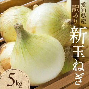 �y�ӂ邳�Ɣ[�Łz�V�ʂ˂� ��� �󂠂� 5kg�i�����E�ό`�j10�L�� �V�� �ʂ˂� �^�}�l�M �ʔK ��� �{ �{�̖�� �Â� �T���_ ���N �_�� �₳�� �킯���� ���P�A�� �K�i�O ���� �ƒ� ������ 