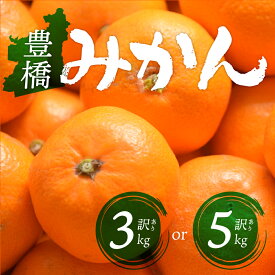【ふるさと納税】≪先行予約≫豊橋みかん 訳あり 3kg ~ 5kg 選べる容量 みかん ミカン 蜜柑 mikan 柑橘 旬 フルーツ 果物 ワケアリ 訳アリ 愛知県 豊橋市 12000円 15000円 送料無料
