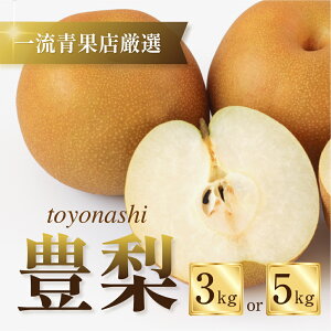 yӂ邳Ɣ[Łzs\ 2026N ݌Ɍ L Iׂ 3kg or 5kg  L L K K H H V V Ȃ ʕ t[c ʎ { {̉ʕ ܂ y I 