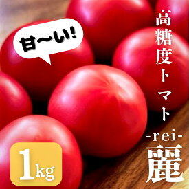 【ふるさと納税】≪先行予約≫糖度9度以上！『高糖度 フルーツトマト 麗（れい）』 1kg トマト 愛知県 豊橋市 ブランドトマト 野菜 赤 トマト フルーツトマト 14000円 フルーツ お弁当 甘い おかず
