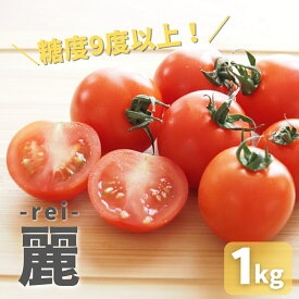 【ふるさと納税】≪先行予約≫糖度9度以上　高糖度 ミニトマト『麗（れい）』1kgバラ トマト 愛知県 豊橋市 ブランドトマト 野菜 赤