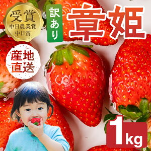 yӂ邳Ɣ[Łzs\I ͕P 󂠂肢 v1kg ( 250g × 4 )  C`S  t[c { ʕ ̂ꂽ 10000~ 1~ V[gP[L t[cTh ɂ XC[c Yn 