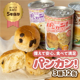 【ふるさと納税】『パンカン！』 備蓄食 缶入り パン 5年保存 3種12缶セット たっぷり 備蓄 長期保存 調理不要 災害 セット 非常食 常温 缶詰 チョコパン レーズンパン コーヒーパン 防災 おやつ チョコ レーズン コーヒー 防災グッズ 簡単