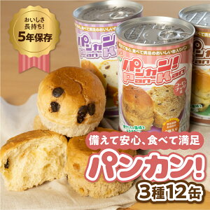【ふるさと納税】『パンカン!』 備蓄食 缶入り パン 5年保存 3種12缶セット たっぷり 備蓄 長期保存 調理不要 災害 セット 非常食 常温 缶詰 チョコパン レーズンパン コーヒーパン 防災 防