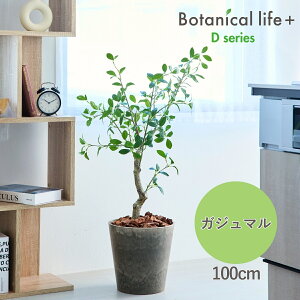 yӂ邳Ɣ[ŁztFCNO[ Botanical life+ DV[Y KW} 100cm G}H t CeA R L m Ls  41000~