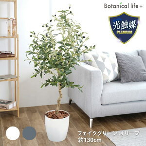 yӂ邳Ɣ[ŁztFCNO[ I[u 130cm G}H t CeA R L m Ls  52000~