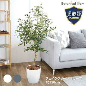 yӂ邳Ɣ[ŁztFCNO[ I[u 150cm G}H t CeA R L m Ls  58000~