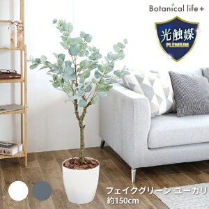 yӂ邳Ɣ[ŁztFCNO[ [J 150cm G}H t CeA R L m Ls  58000~