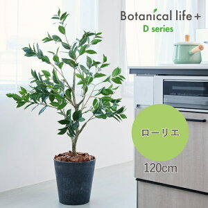 yӂ邳Ɣ[ŁztFCNO[ Botanical life+ DV[Y [G 120cm G}H t CeA R L m Ls  52000~