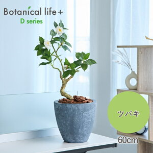 yӂ邳Ɣ[ŁztFCNO[ Botanical life+ DV[Y coL 60cm G}H t CeA R L m Ls  35000~
