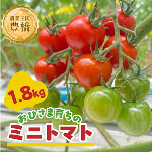 yӂ邳Ɣ[Łzs\₨Ђ܈炿̃~jg}g 1.8kg  ₳ g}g ~jg}g v`g}g x Â t[c g}g Ƃ܂ tomato h{ T_ m Ls