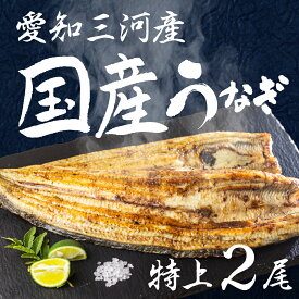 【ふるさと納税】愛知県三河産　うなぎ　白焼き 2尾　国産うなぎ 鰻 タレ付 セット 厳選 ウナギ かば焼き 丑の日 高級 贅沢 ご褒美 特産品 ふっくら お取り寄せ うな重 うな丼 ひつまぶし 冷凍 誕生日 お祝い 内祝い お中元 お歳暮 愛知県 豊橋市