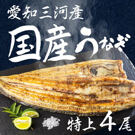 【ふるさと納税】愛知県三河産　うなぎ　白焼き 4尾　国産うなぎ 鰻 タレ付 セット 厳選 ウナギ かば焼き 丑の日 高級 贅沢 ご褒美 特産品 ふっくら お取り寄せ うな重 うな丼 ひつまぶし 冷凍 誕生日 お祝い 内祝い お中元 お歳暮 愛知県 豊橋市