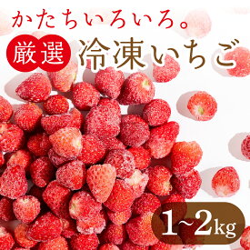 【ふるさと納税】フローズンいちご　1〜2kg