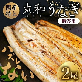 【ふるさと納税】＼産地直送／ 国産うなぎ 2尾【贈答用】タレ付き 化粧箱 うなぎ 国産 ウナギ 鰻 unagi 蒲焼 白焼 長焼 関西 関東 美味しい おススメ 専門店 高級 簡単調理 冷凍 贈答 プレゼント お中元 お歳暮 誕生日 お祝い 丸和 丸和うなぎ 送料無料 のし 愛知県 豊橋市
