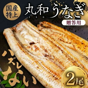 �y�ӂ邳�Ɣ[�Łz�_�Y�n�����^ ���Y���Ȃ� 2���y�����p�z�^���t�� ���ϔ� ���Ȃ� ���Y �E�i�M �V unagi ���� ���� ���� �֐� �֓� �������� ���X�X�� ���X ���� �ȒP���� �Ⓚ ���� �v���[��