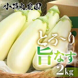 【ふるさと納税】《先行予約》とろ～り旨なす 2kg 茄子 なす 白茄子 白なす 白ナス ナス 旨い 甘い 艶 ツヤ ハリ 揚げ物 揚げ茄子 焼茄子 麻婆茄子 輝楽 愛知県 豊橋市