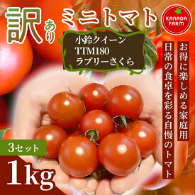 【ふるさと納税】《先行予約》お得に楽しめる家庭用訳ありミニトマト 1kg 1セット 3セット 野菜 規格外 お買い得 自宅用 たっぷり まとめ買い 大容量 新鮮 旬 食材 お取り寄せ 愛知県 豊橋市