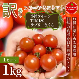 【ふるさと納税】《先行予約》お得に味わえる家庭用 訳ありフルーツミニトマト 1kg 1セット 3セット 野菜 規格外 お買い得 自宅用 たっぷり まとめ買い 大容量 新鮮 旬 食材 お取り寄せ 愛知県 豊橋市