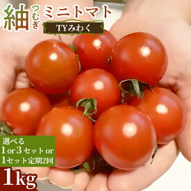 【ふるさと納税】《先行予約》紬（つむぎ）ミニトマト（TYみわく）　1kg 1セット 3セット 定期便 新鮮野菜 農家直送 やさい サラダ デザート お弁当 朝食 そのまま食べる おうちごはん お取り寄せ 産地直送 贈り物 手土産 愛知県 豊橋市
