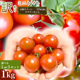 【ふるさと納税】お得に楽しめる家庭用訳ありミニトマト 1kg 1セット 3セット 野菜 規格外 お買い得 自宅用 たっぷり まとめ買い 大容量 新鮮 旬 食材 お取り寄せ 愛知県 豊橋市