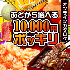 yӂ邳Ɣ[ŁzƂԗiIׂ 10000~ ӂ邳Ɣ[ J^O WEBJ^O|Cg  ォIׂ ƂZNg   Ȃ   ʕ t[c 